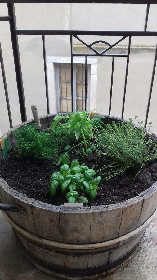 Gite Au Coeur De Volnay Бон Екстер'єр фото